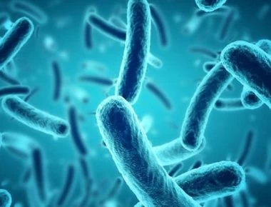 «Υπερβακτήρια» ανθεκτικά σε αντιβιοτικά απειλούν την ανθρωπότητα - Ποια είναι